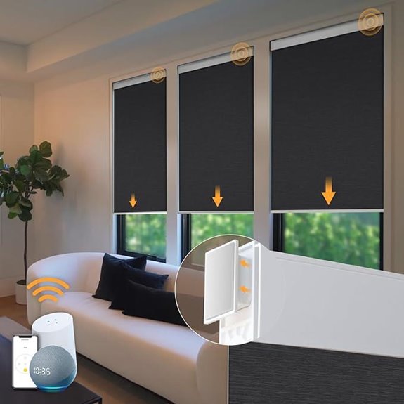 Motorized Blackout Blinds with Remote Control