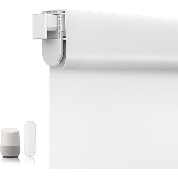 Allesin Motorized Roller Blinds with Remote 22x72