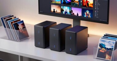 top 4 bay nas options