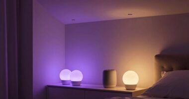 top smart bulbs 2026