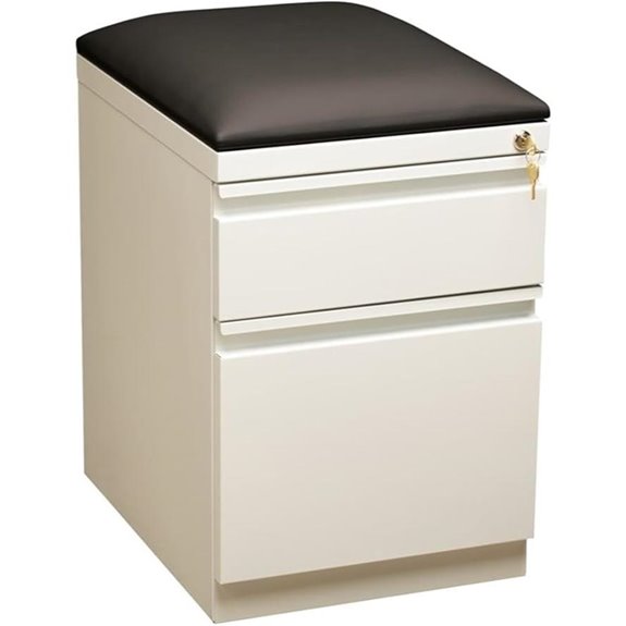 Pemberly Row 2-Drawer Metal Mobile Pedestal Filing Cabinet in White/Black