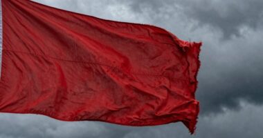 apology red flag alert