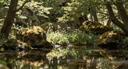 calm environments soothe nerves