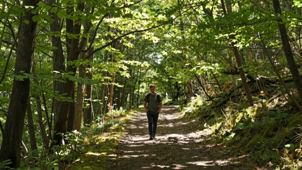 daily mindful nature walks