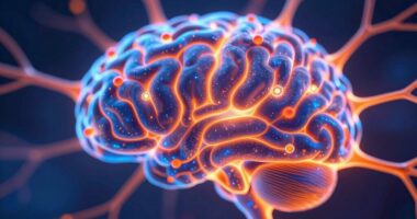 love addiction dopamine cycle