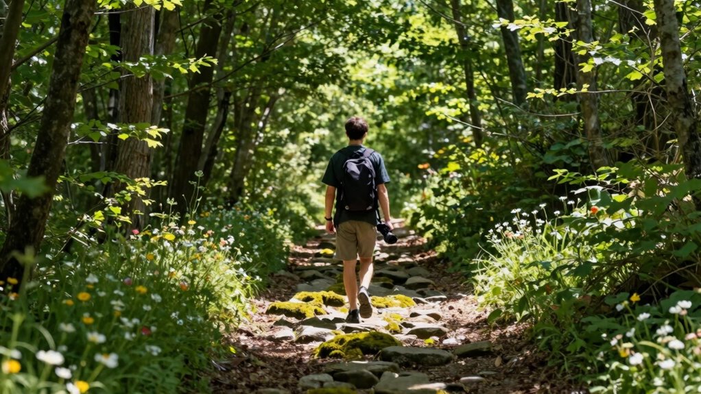 mindful walking for clarity