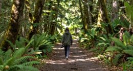 solo walk for clarity