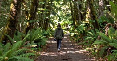 solo walk for clarity