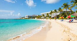 the allure of vacations