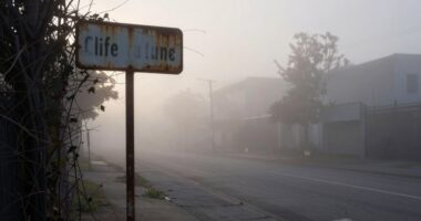 uncertain perception of reality