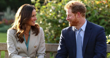 Prince Harry King Charles Reconciliation