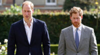 Prince William Prince Harry Rift