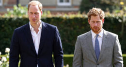 Prince William Prince Harry Rift