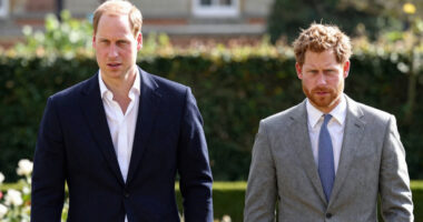 Prince William Prince Harry Rift