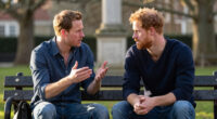 Royal Brothers William Harry Feud