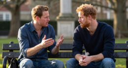 Royal Brothers William Harry Feud